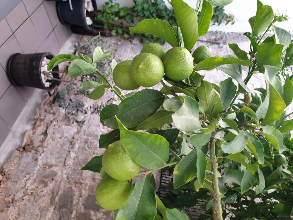 Lemon Tree Hotel Seget Donji Bagian luar foto