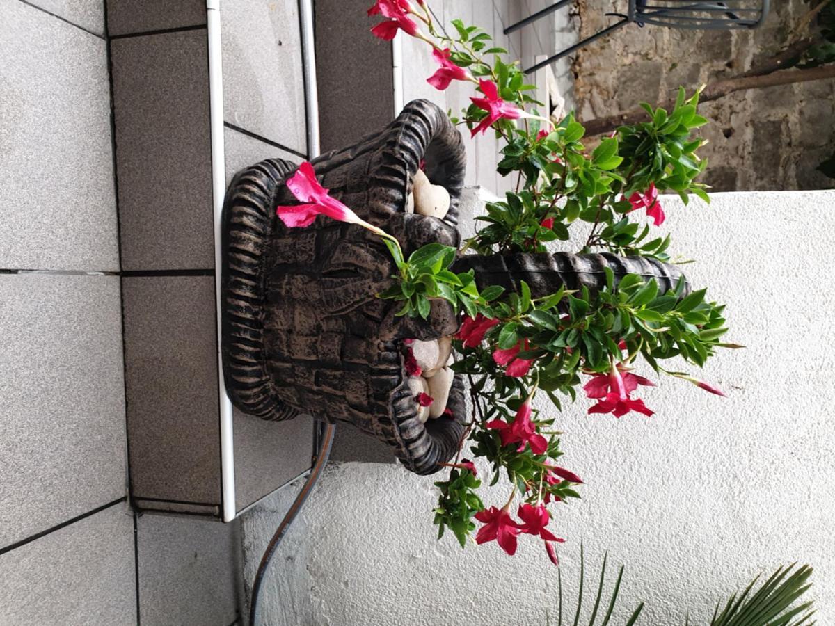 Lemon Tree Hotel Seget Donji Bagian luar foto